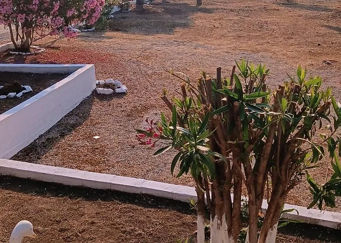 Kiriaki * Kallirákhi