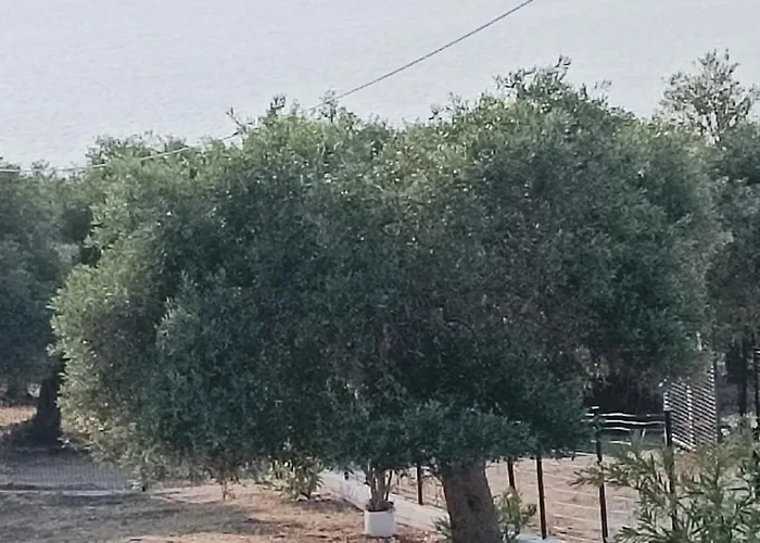 Willa Kiriaki Kallirákhi