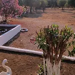 Kiriaki * Kallirákhi