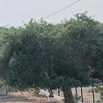 ヴィラ Kiriaki Kallirákhi