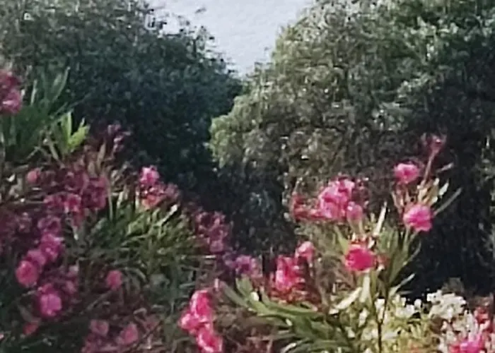 Kiriaki * Kallirákhi